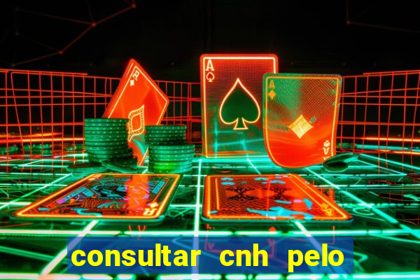 consultar cnh pelo cpf sp